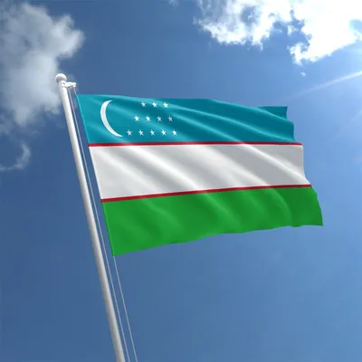 Uzbekistan Flag, Vector Illustration Stock Vector - Illustration of  abstract, ribbon: 109417681