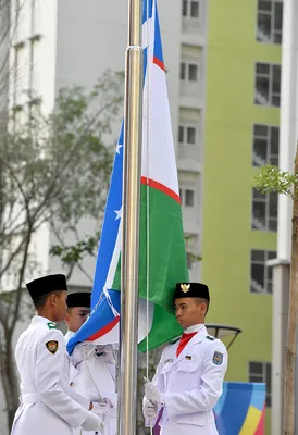 Флаг.ру: Флаг Узбекистана 90х135 из флажной сетки | 90x135
