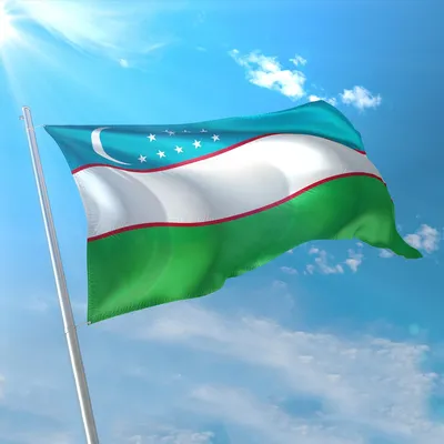 Флаг Узбекистана / 90х135 / Полиэфирный Шелк / Геральдика / Узбекистан /  Флаг Республики Узбекистан / Флаг в подарок / FlLife - купить Флаг по  выгодной цене в интернет-магазине OZON (606687062)