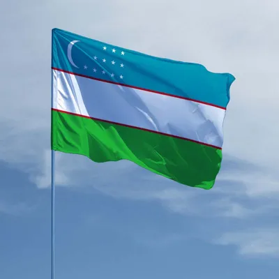 Видео: гигантский флаг Узбекистана несли 10 км сотни человек