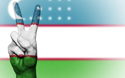 Флаг Узбекистана Uzbekistan Узбекистан 145Х90см НАШФЛАГ Большой  Двухсторонний Уличный - купить в Artic X, цена на Мегамаркет
