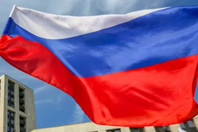 22 августа в России отмечается День Государственного флага Российской  Федерации – Официальный сайт Юридического факультета КубГУ