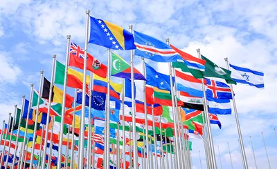 Квадратные национальные флаги стран мира Векторное изображение ©pyty  547877886