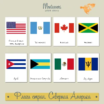 Флаги стран Африки - трехчастные карточки Монтессори купить и скачать