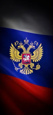 Флаг РФ | Графические обои, Цветочные иллюстрации, 3d обои