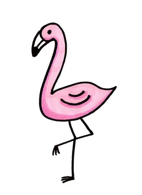 Фламинго нарисованные