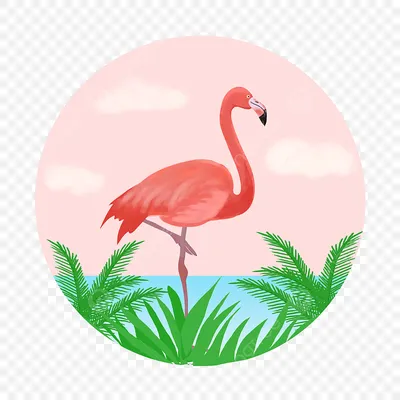 Картинки фламинго для срисовки | Flamingos art illustration, Flamingo  artwork, Flamingo illustration