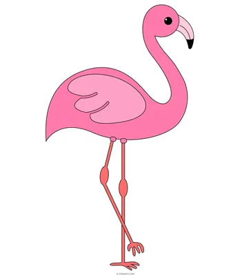 Как нарисовать фламинго - YouTube