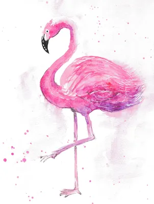 рисунок фламинго PNG , фламинго клипарт, мультфильм, лето PNG картинки и  пнг PSD рисунок для бесплатной загрузки