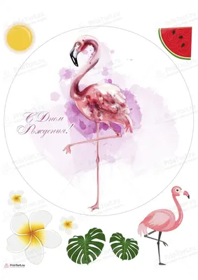 Нарисованные фламинго фотообои купить на заказ, цены в Украине - Miray