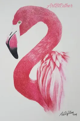 Картинка для торта \"Розовый Фламинго\" - PT106976 печать на сахарной пищевой  бумаге