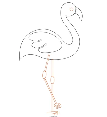 Рисуем фламинго карандашом. — drawingdot