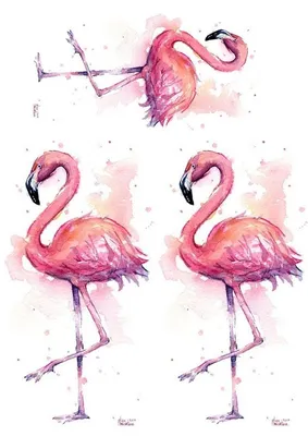 Фламинго нарисованный рукой розовый на белой предпосылке Иллюстрация штока  - иллюстрации насчитывающей изображение, красивейшее: 57774295