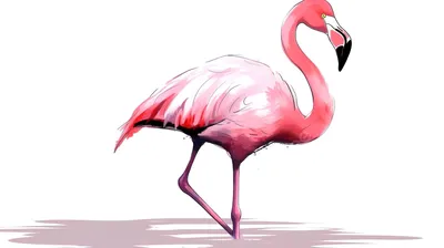 Винный фламинго\" | Пикабу
