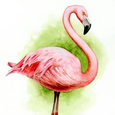 Girls on the beach. Девочки на пляже. PNG. | Flamingo art, Flamingo  painting, How to draw flamingo