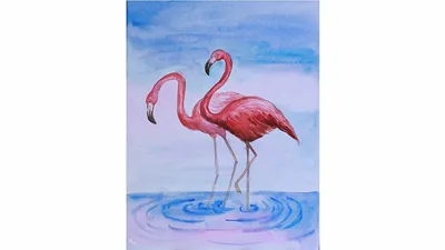 Розовый фламинго Нарисованный рукой экзотический силуэт птицы Иллюстрация  штока - иллюстрации насчитывающей джунгли, мило: 60390610