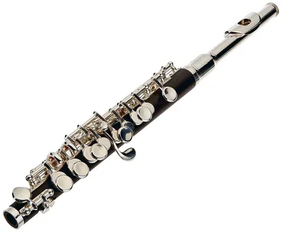 Изучаем разновидности флейт. | Muzmart.com