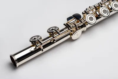 Особенности флейты