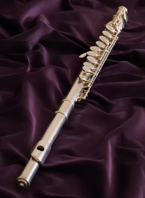 Флейта — Википедия