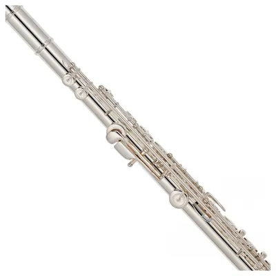 Флейта YFL212 Yamaha LUX-293426 - купить по лучшим ценам в Киеве, узнать  стоимость на Флейты в интернет магазине LuxPRO