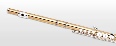 Деревянные духовые флейты, Классическая бамбуковая флейта, музыкальный  инструмент, традиционный китайский дизайн, поперечная флейта для начинающих  | AliExpress