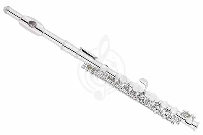 Pearl Flute Quantz PF-F525RE купить с гарантией снижения цены флейта в  интернет магазине Мир Музыки