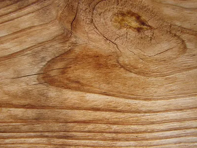 текстура дерева | Wood background, Wood, Wood texture