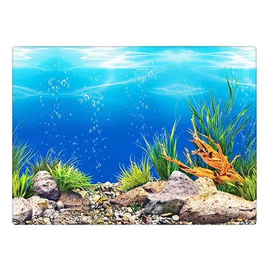Фон для аквариума и террариума, 120х50 см, односторонний, \"Кораллы\" -  купить с доставкой по выгодным ценам в интернет-магазине OZON (812872208)