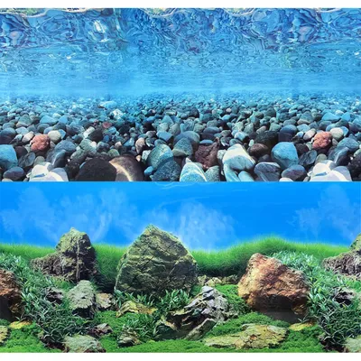 Задний фон аквариума - пленка Сургут