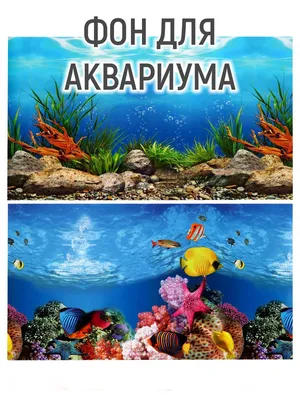 Фон для аквариума Marina двусторонний акваскейп/подводная галька 10 x 50 см  - доставка по Украине | ZooCool.com.ua