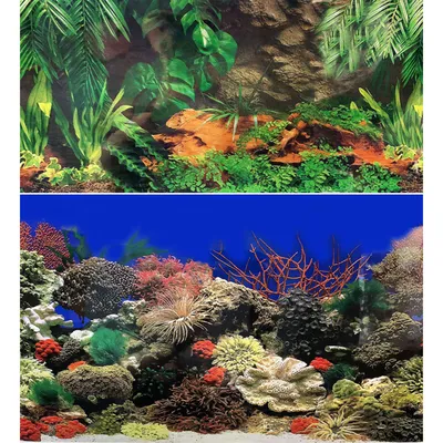Изготовление фона для аквариума своими руками