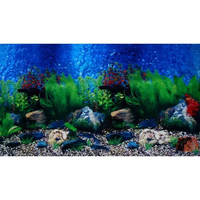 Фон для аквариума Marina двусторонний океан/кораллы 10 x 60 см - доставка  по Украине | ZooCool.com.ua
