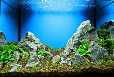 Задний фон для аквариума 3d — купить по низкой цене на Яндекс Маркете