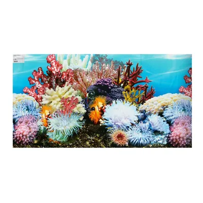 Фон для аквариума, 50 см, рулон 25 м No brand 01111688: купить за 770 руб в  интернет магазине с бесплатной доставкой