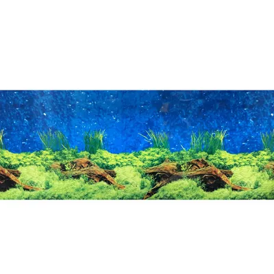 Фон для аквариума Marina односторонний, подводный ландшафт реки 10 x 40 см  - доставка по Украине | ZooCool.com.ua