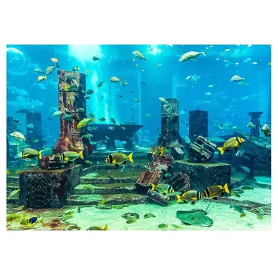 Купить Коралловый аквариум фон подводная рыба настенный плакат украшения  наклейка | Joom