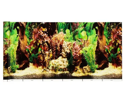 Купить фон для аквариума Растения, 30 см, рулон 25 м, цены на Мегамаркет |  Артикул: 100045825713