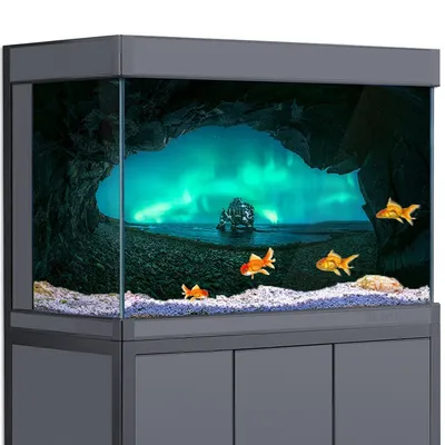 Фон для аквариума Декорации Пещера Аврора 30x60см - купить с доставкой по  выгодным ценам в интернет-магазине OZON (1056949151)