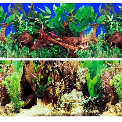 Фон для аквариума Marina двусторонний река/растения 10 x 40 см  (ID#1132655516), цена: 12 ₴, купить на Prom.ua