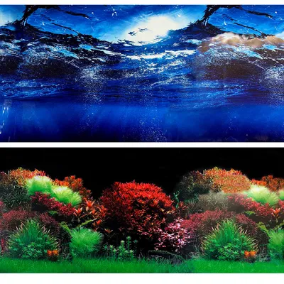Фон для аквариума Marina двусторонний океан/растения 10 x 60 см - доставка  по Украине | ZooCool.com.ua