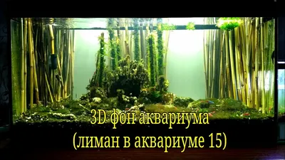 3D фон аквариума - YouTube