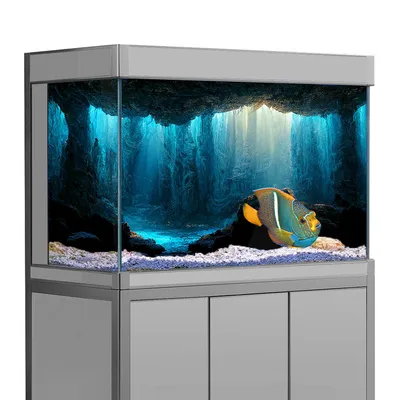 Фон для аквариума Декорации Подводные пещеры 40x60см - купить с доставкой  по выгодным ценам в интернет-магазине OZON (880767351)