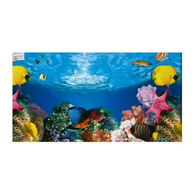 Фон для аквариума, 50 см, рулон 25 м - РусЭкспресс
