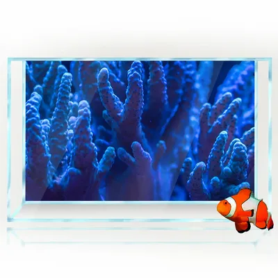 Фон для аквариума 3D | AliExpress