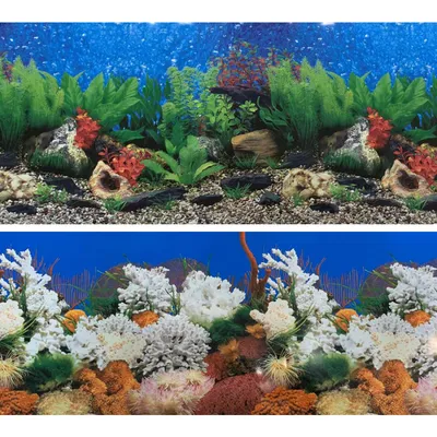 Фон для аквариума Marina двусторонний река/кораллы 10 x 30 см - доставка по  Украине | ZooCool.com.ua
