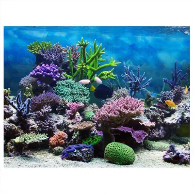 Декоративный фон для аквариум – купить по низким ценам в интернет-магазине  Joom