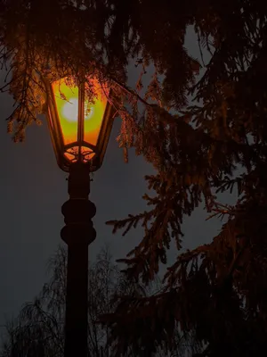 Уличный фонарь «Техно - 1» - купить в Москве по выгодной цене от  производителя