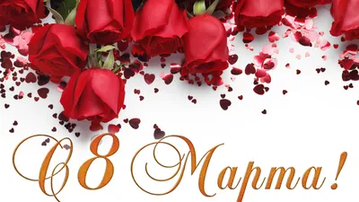 Картинки красные розы, белый, фон, праздник, 8 марта - обои 1920x1080,  картинка №324200