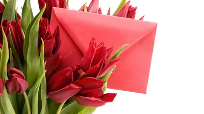 Картинка цветок 8 марта тюльпан письма Конверт белым фоном 1920x1080