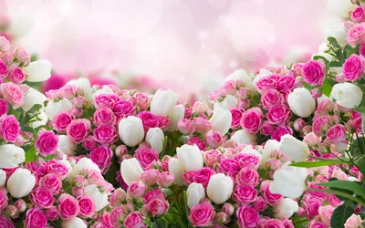 Международный день счастливых женщин - 8 марта, праздничный фон с бумагой,  рамкой цветов Абстрактная розовая цветочная поздравите Иллюстрация штока -  иллюстрации насчитывающей применяемый, бутика: 158263519
